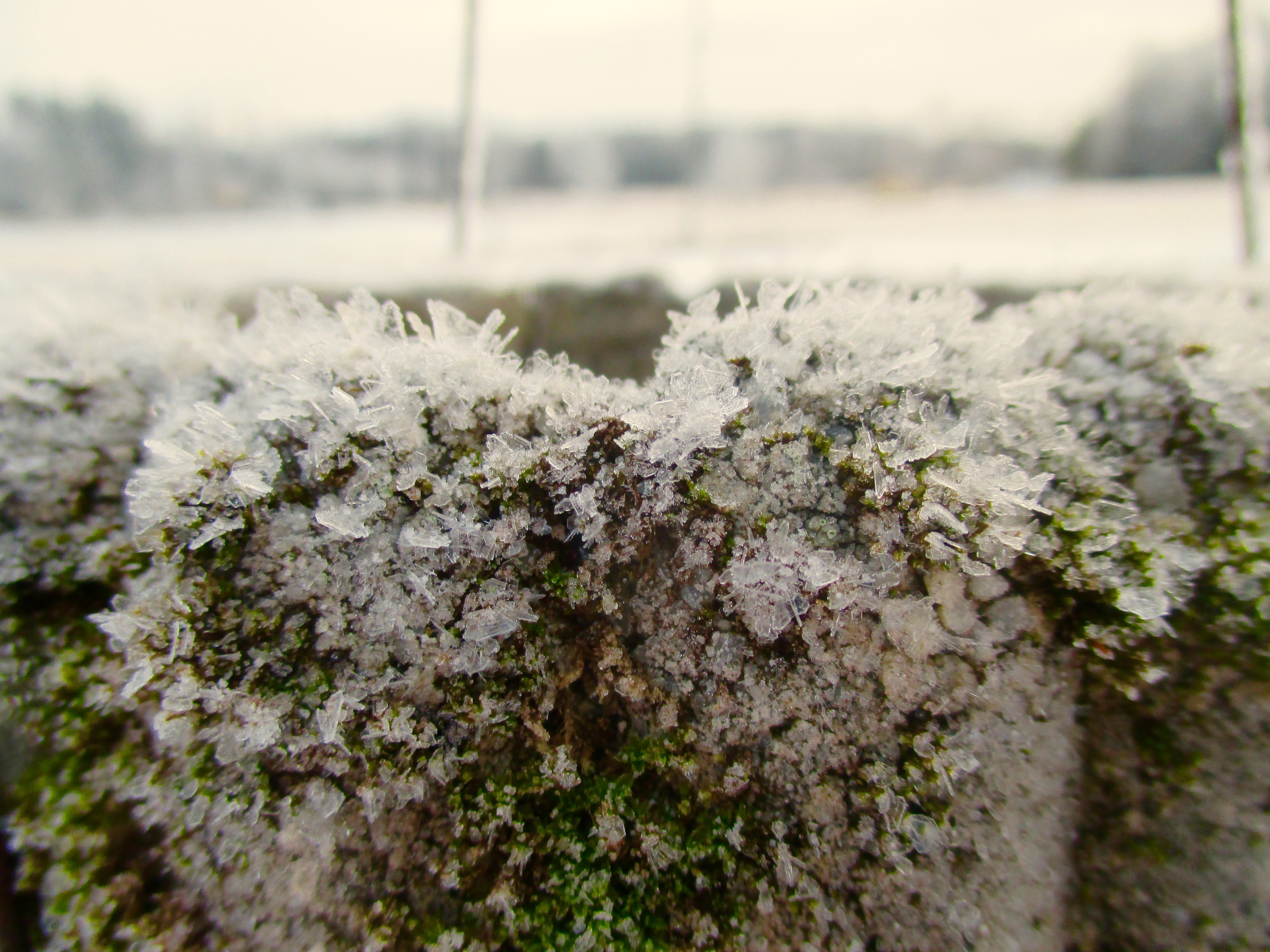 ja%cc%88a%cc%88kiteita%cc%88