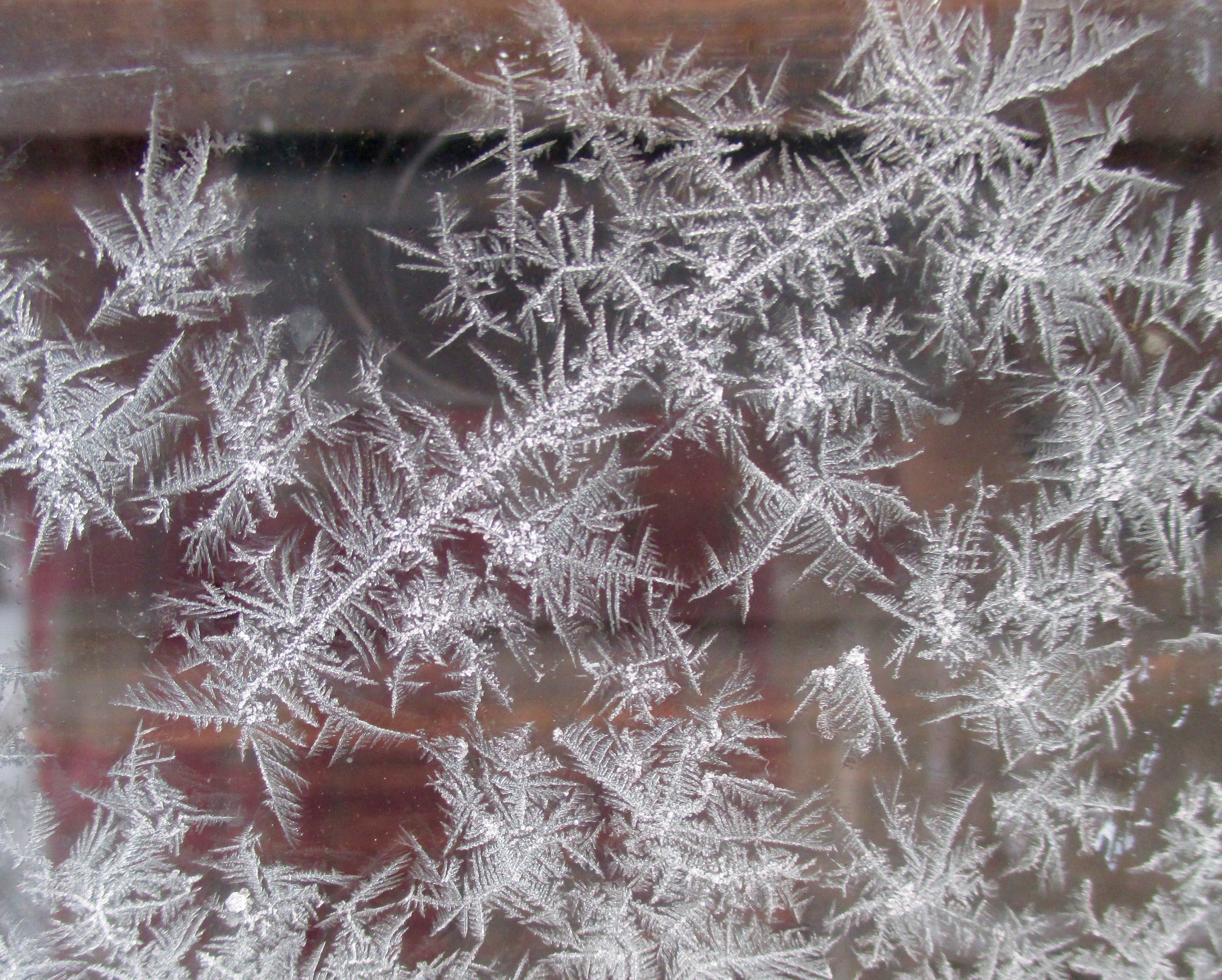 ja%cc%88a%cc%88kukkia