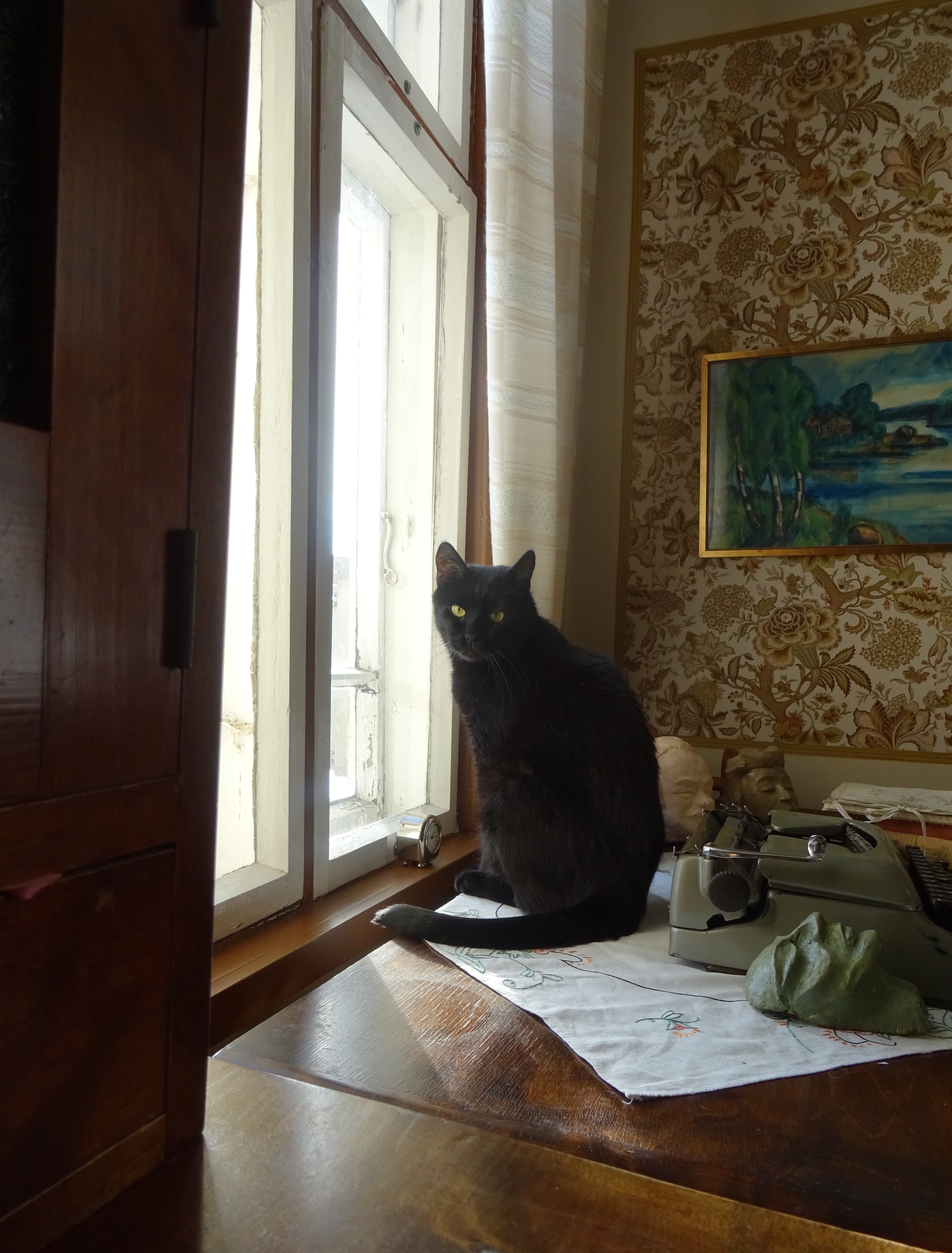 Bagsu kamarin ikkunan edessä