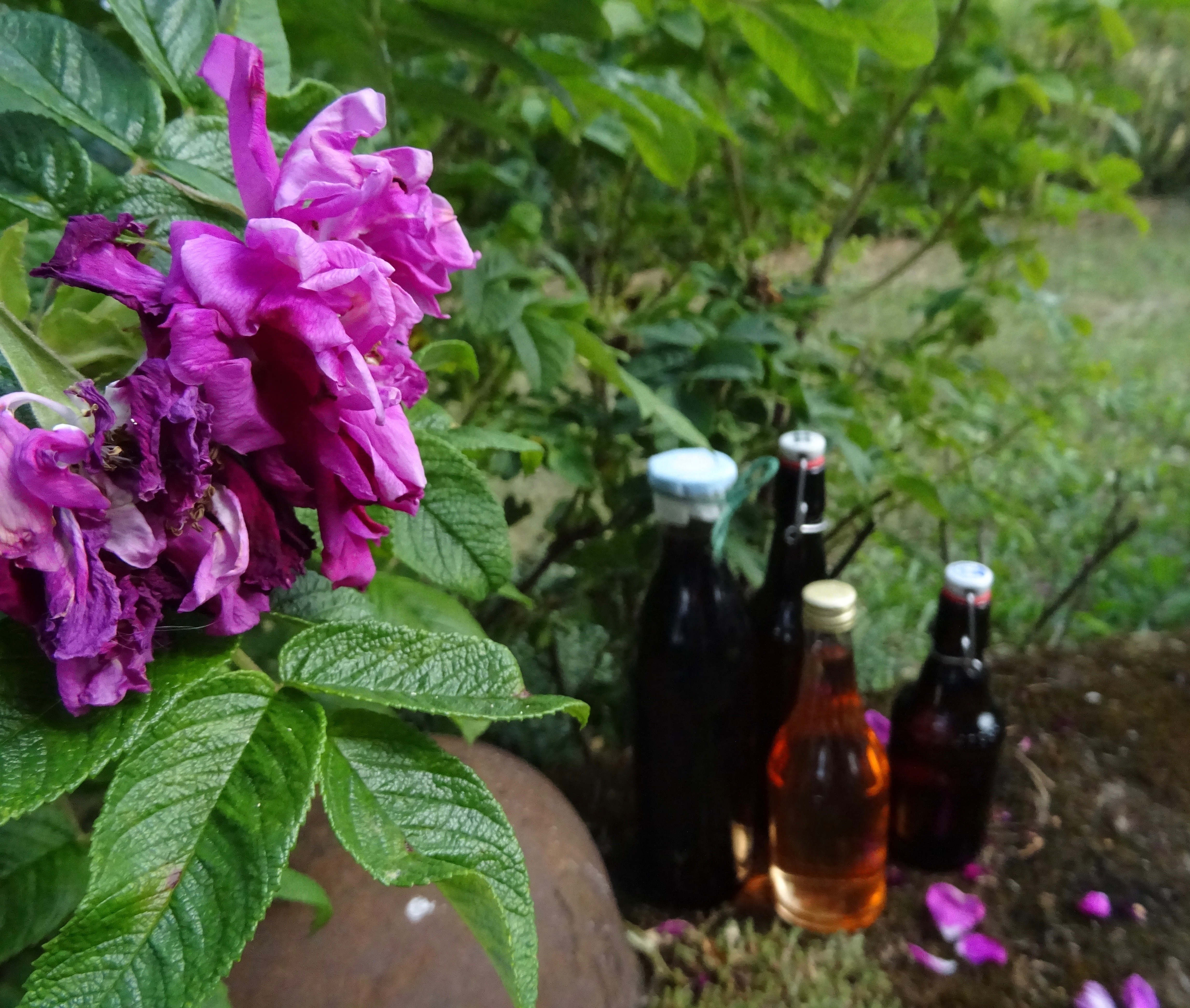 Hansaruusu ja mehupullot