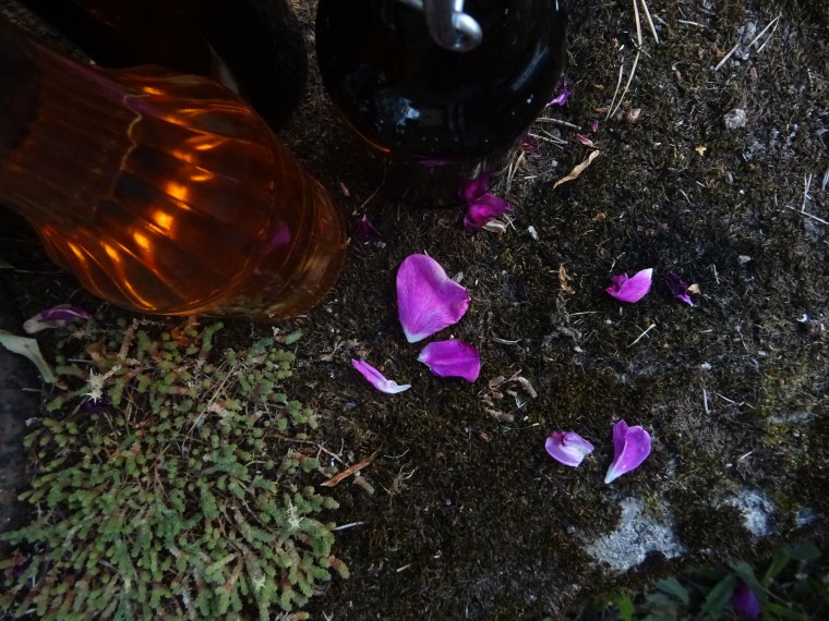 Pullot ja maksaruoho