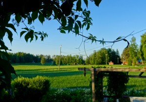 Kesäaamu Helmihuvilassa